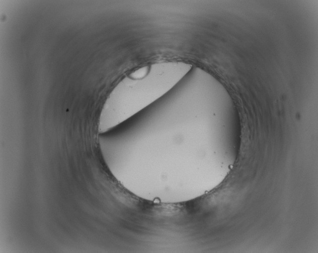 X0000065240672200603031740