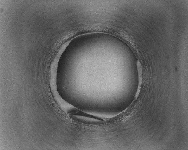 X0000065240673200603031739