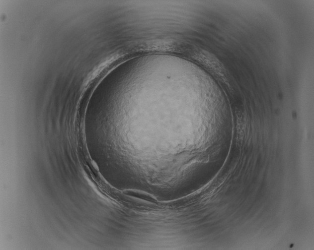 X0000065240674200603031739