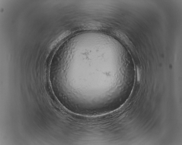 X0000065240675200603031739