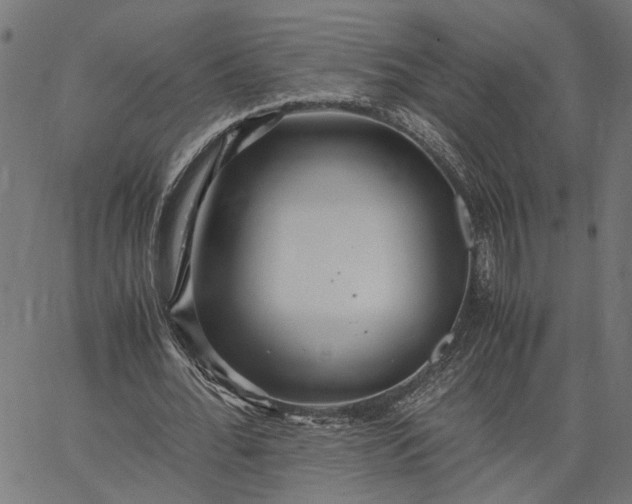 X0000065240676200603031739