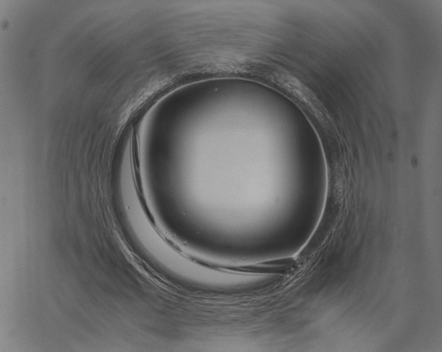 X0000065240677200603031739