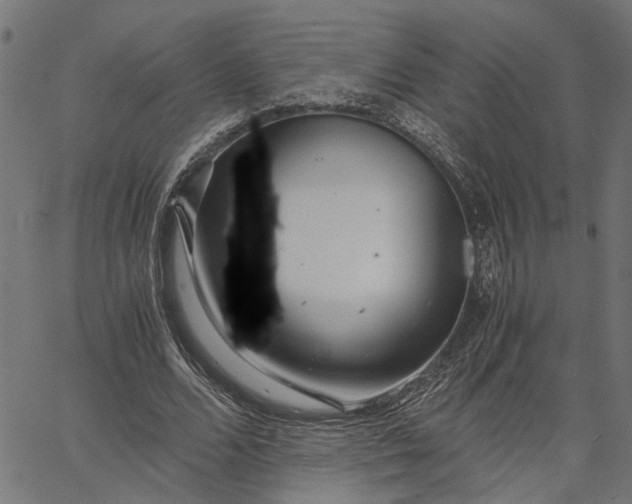 X0000065240680200603031739