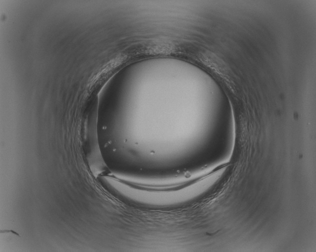 X0000065240681200603031739