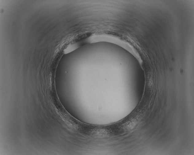 X0000065240685200603031739