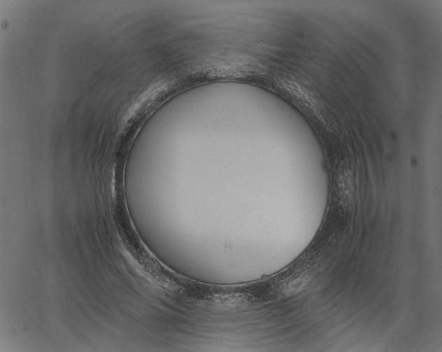 X0000065240686200603031739