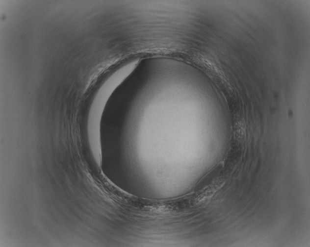 X0000065240688200603031739