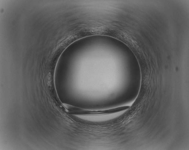 X0000065240689200603031739