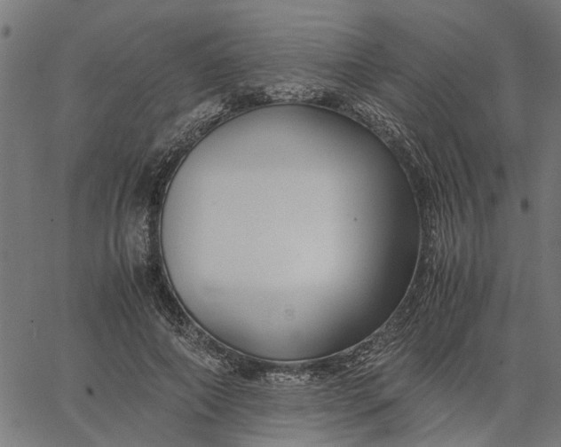 X0000065240690200603031739