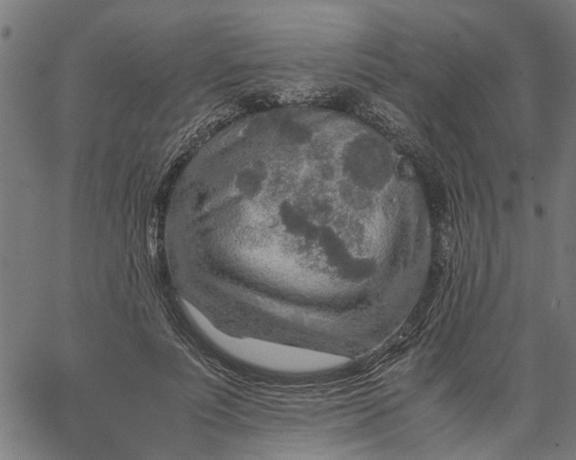 X0000065240691200603031739