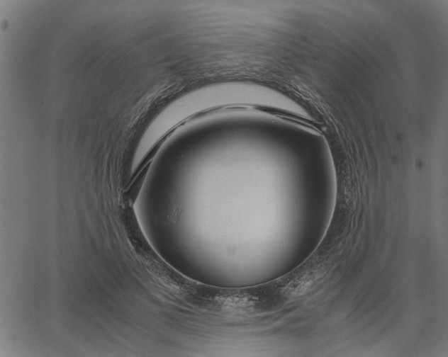 X0000065240693200603031739