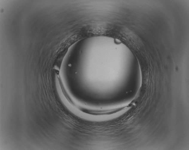 X0000065240697200603031739