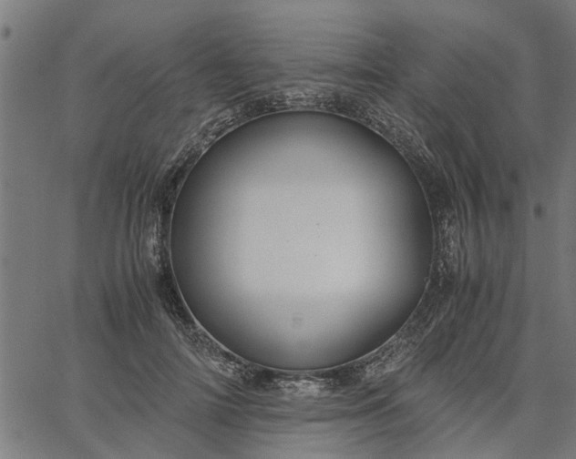 X0000065240698200603031739