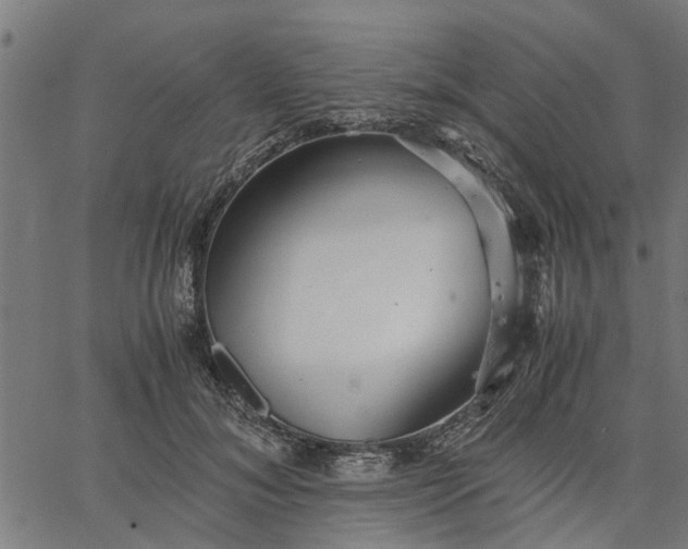 X0000065240700200603031739