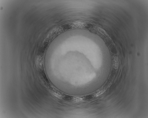 X0000065240701200603031739