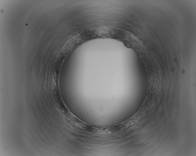 X0000065240702200603031739