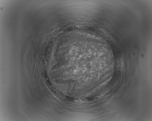 X0000065240703200603031738