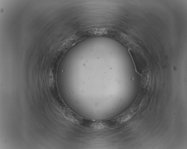 X0000065240704200603031738