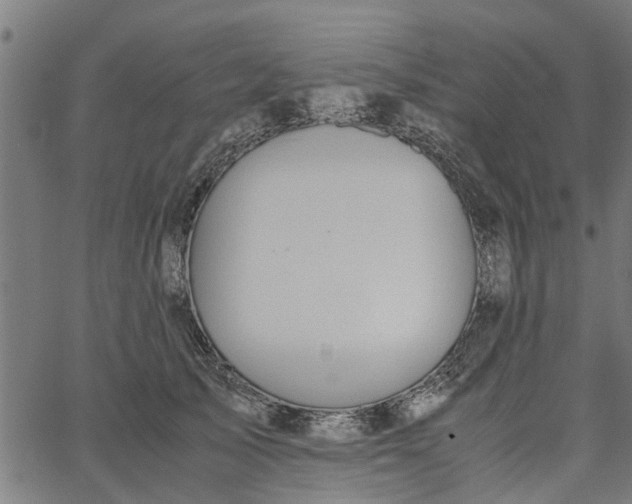 X0000065240705200603031738