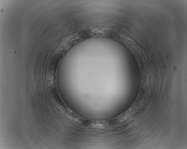 X0000065240706200603031738