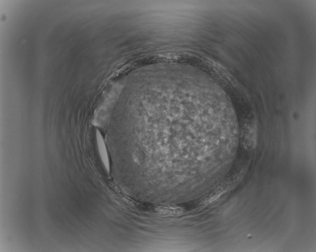 X0000065240707200603031738