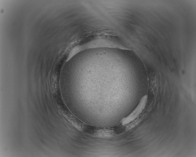 X0000065240708200603031738