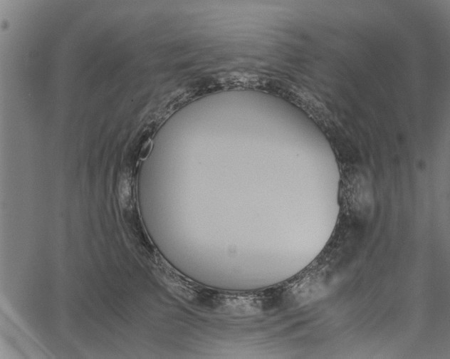 X0000065240709200603031738