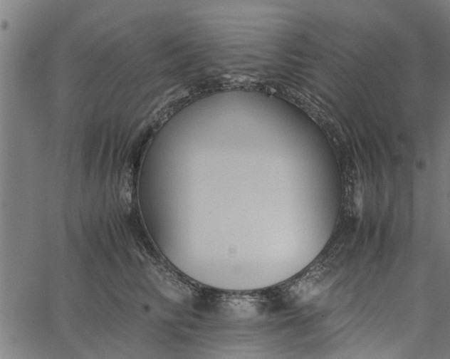 X0000065240710200603031738