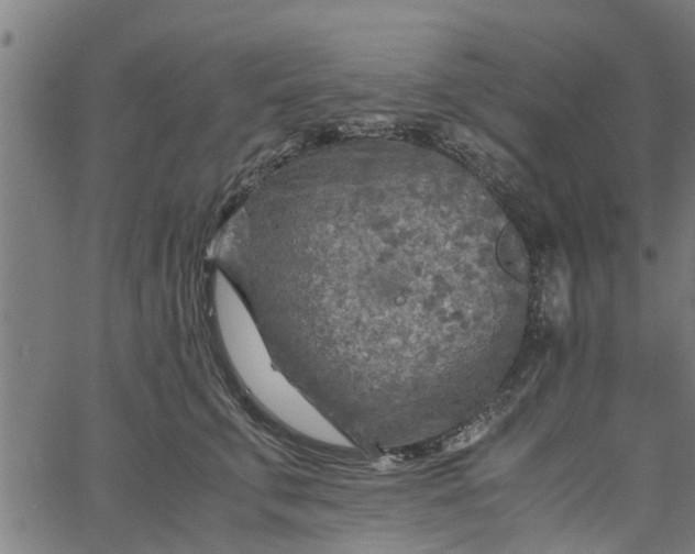 X0000065240711200603031738