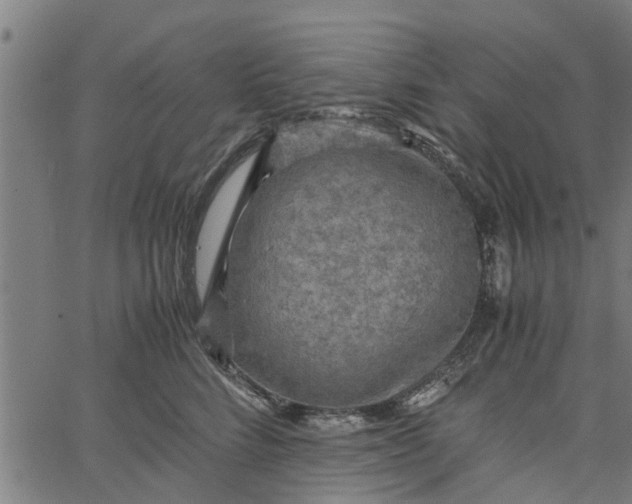 X0000065240712200603031738