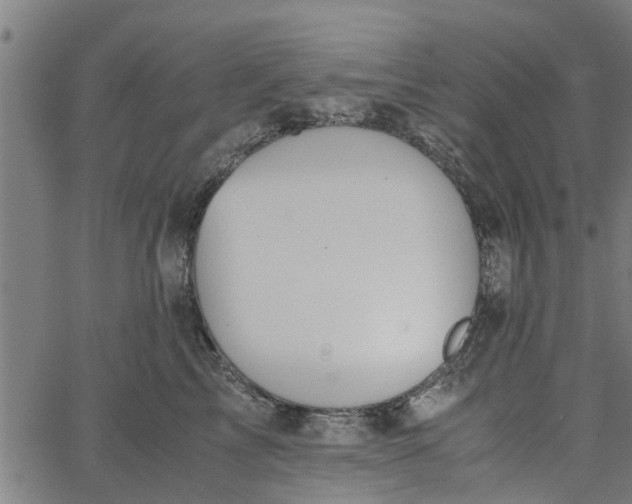 X0000065240713200603031738