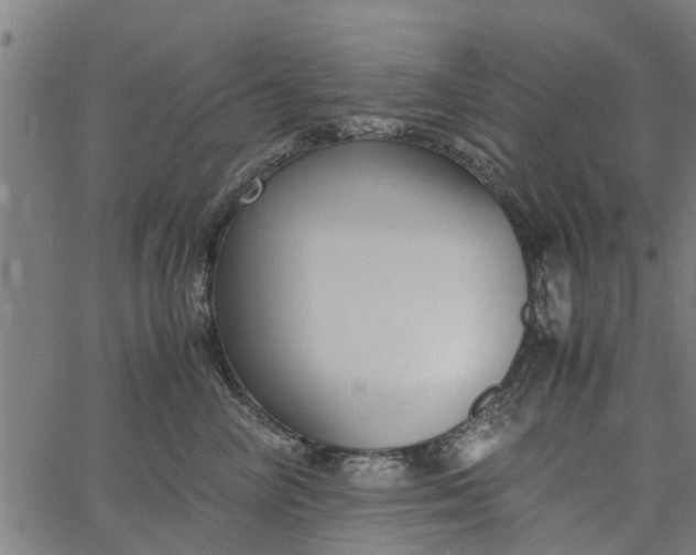 X0000065240714200603031738