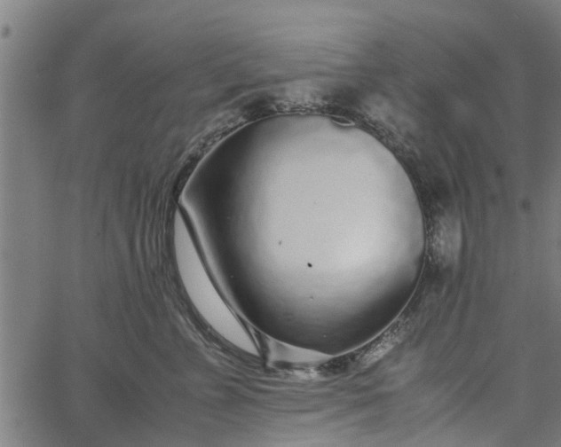 X0000065240715200603031738