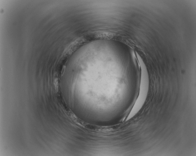 X0000065240716200603031738