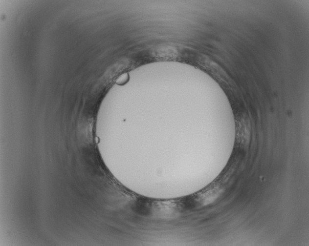 X0000065240717200603031738