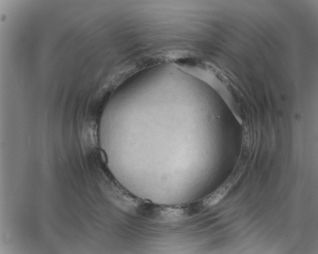 X0000065240718200603031738