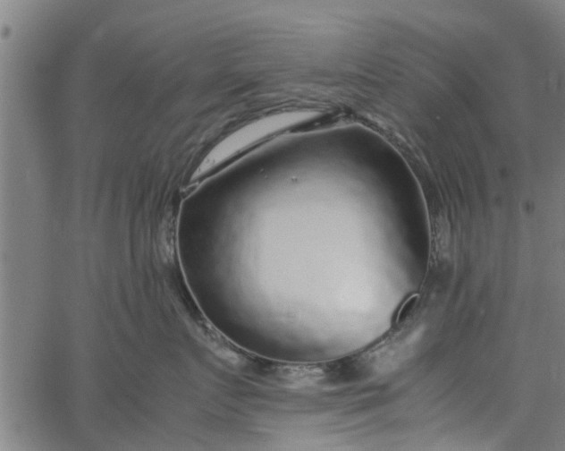 X0000065240719200603031738