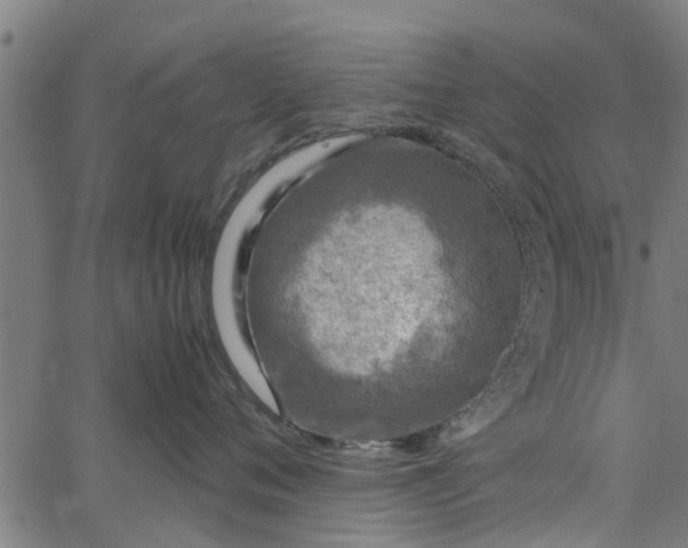 X0000065240720200603031738