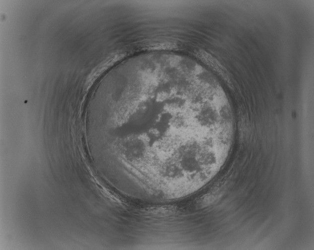 X0000065240721200603031737