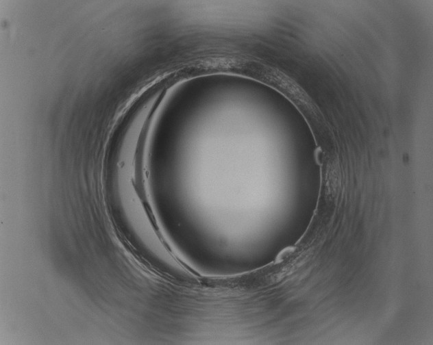 X0000065240722200603031737