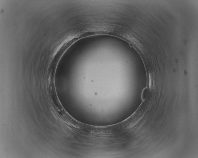 X0000065240723200603031737