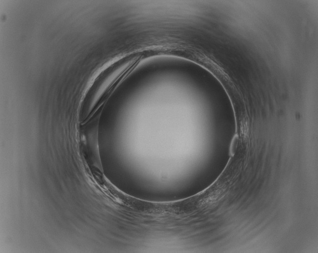 X0000065240724200603031737