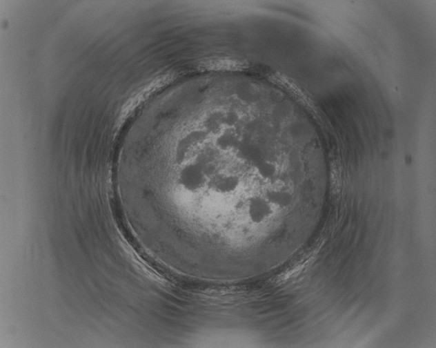 X0000065240725200603031738