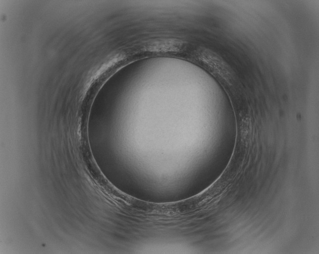 X0000065240727200603031738