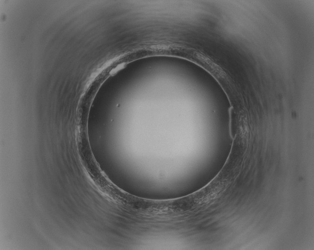 X0000065240728200603031738