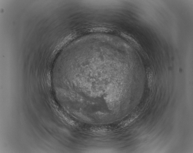 X0000065240729200603031738