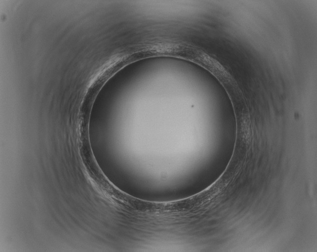 X0000065240730200603031738