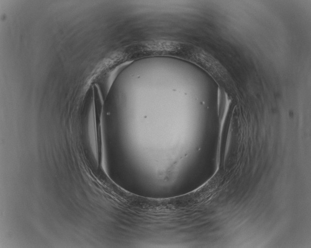 X0000065240731200603031738