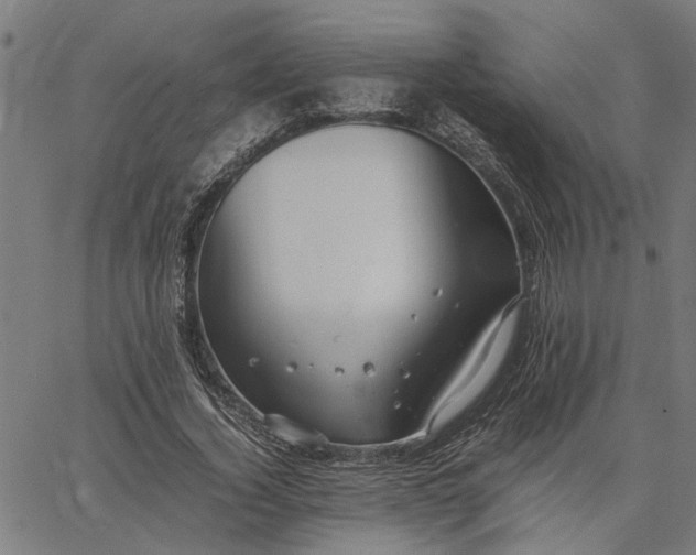 X0000065240732200603031738