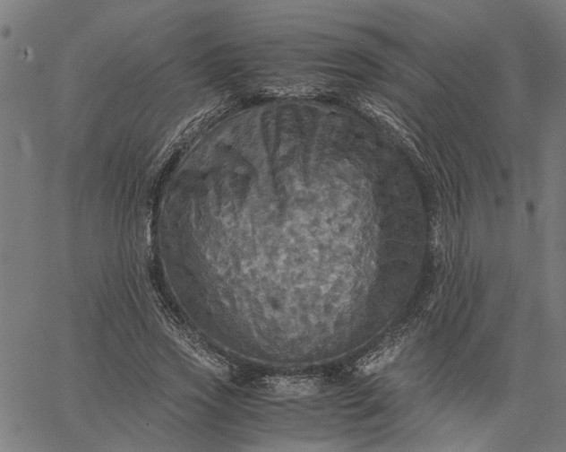 X0000065240733200603031738